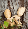Filament 3D Prusament Woodfill