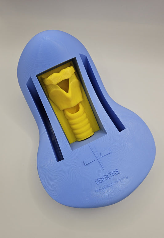 Ghid resuscitare printat 3D