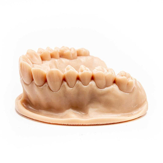 Rășină Formfutura Dental LCD Series - Model Resin