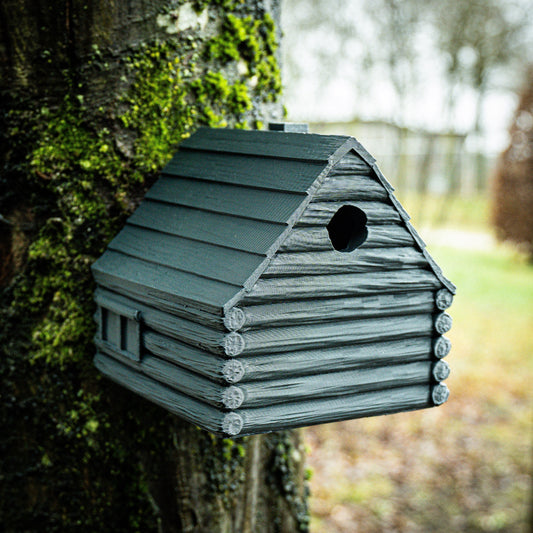 Filament 3D Formfutura ReForm rApollo - 3D Dot Imprimare 3D